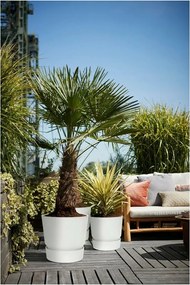 Βάζο Λουλουδιών Elho 0464344715000 Λευκό Στρόγγυλο