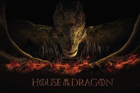 Εκτύπωση τέχνης House of the Dragon - Dragon's fire, (40 x 26.7 cm)