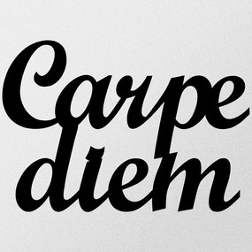 Διακοσμητικό Τοίχου Carpediem 279ENZ1156 50x38cm Black Wallity Μέταλλο