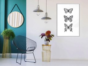 Αφίσα - Butterfly Collection III A - 20x30 - Μαύρο - Χωρίς πασπαρτού