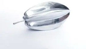 Decorative Fruit S Line  αστεροφρούτο SS140-Y1