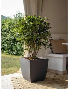 Βάζο Λουλουδιών EDA