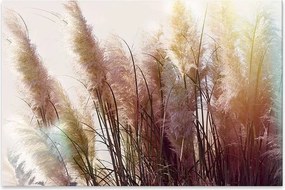 Πίνακας σε καμβά "Soft Pampas" Megapap ψηφιακής εκτύπωσης 125x80x3εκ.