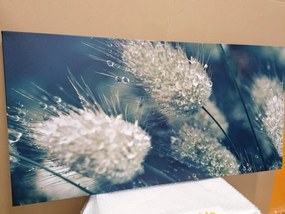 Εικόνα με σταγόνες δροσιάς στο γρασίδι - 100x50