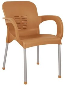 ΠΟΛΥΘΡΟΝΑ ΠΟΛΥΠΡΟΠΥΛΕΝΙΟΥ KAREK HM5592.03 ΧΡΩΜΑ ΞΥΛΟΥ ΜΕ ΠΟΔΙ ΑΛΟΥΜΙΝΙΟΥ 59x58x81Y