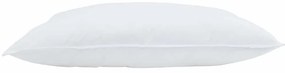 vidaXL Μαξιλάρι με μαξιλάρι Λευκό 50 x 70 cm Φτερό