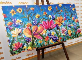 Εικόνα των πολύχρωμων λουλουδιών στο λιβάδι