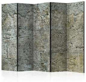 Διαχωριστικό με 5 τμήματα - Stony Barriere II [Room Dividers] 225x172