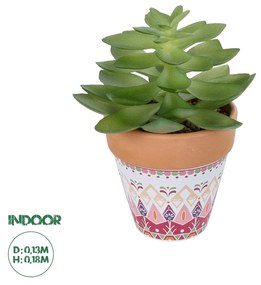 Artificial Garden SUCCULENT ECHEVERIA POTTED PLANT 21048 Διακοσμητικό Φυτό Εχεβέρια Φ13 x Υ18cm