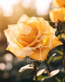 Intra Συλλεκτικό Ξύλινο Παζλ Plywood  4mm - Ανθισμένο κίτρινο τριαντάφυλλο σε έναν κήπο Σε Ξύλινο Κουτί - Διαστάσεις: 10x10 cm – 25 κομμάτια