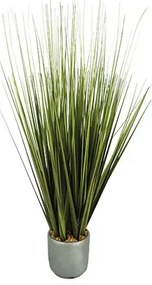 MarHome ΦΥΤΟ ΠΡΑΣΙΝΟ ΓΚΡΑΣ ΚΡΕΜΜΥΔΙΟΥ - Y70cm 2/8KIB  04-20003(18754)
