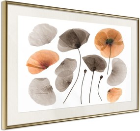 Αφίσα - Dried Poppies - 45x30 - Χρυσό - Με πασπαρτού