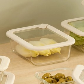 Φαγητοδοχείο 950ml F-V Sileat 213436