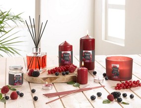 ΑΡΩΜΑΤΙΚΆ XΏΡΟΥ ΜΕ STICKS 170ML SQUARE DIFFUSER ESSENTIAL SCENT RED FRUITS