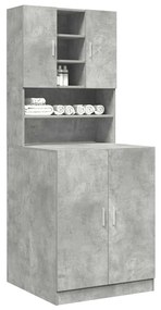 Ντουλάπια πλυντηρίου ρούχων 2 Τεμ Σκυρόδεμα Γκρι