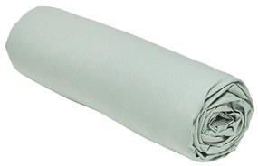 Σεντόνια με λάστιχο Today  DH 90/200+23 Coton TODAY Essential Celadon