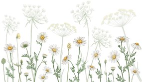 Dazzling Daisies Ταπετσαρια Τοιχου Λευκο Επιθυμητη Διασταση