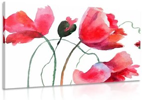 Εικόνα μοναδικά λουλούδια παπαρούνας - 90x60