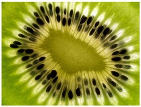 Φωτοταπετσαρία - fruits: kiwi 250x193