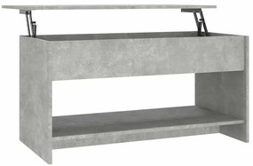 vidaXL Τραπεζάκι Σαλονιού Γκρι Σκυρ. 102x50x52,5 εκ. Επεξεργ. Ξύλο