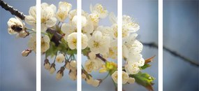Εικόνα 5 μερών ενός κλαδιού από άνθη κερασιάς - 200x100
