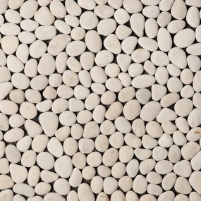 Bath Mat S Line 50cm X 75cm SS159-0091