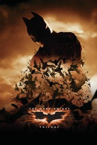 Εκτύπωση τέχνης The Dark Knight Trilogy - Bats, (26.7 x 40 cm)