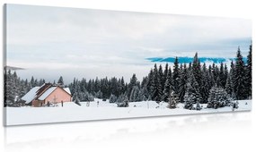 Εικόνα εξοχικό σπίτι στη χιονισμένη φύση - 100x50