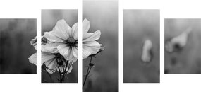 Εικόνα 5 μερών ενός ανθισμένου λουλουδιού σε ασπρόμαυρο - 200x100