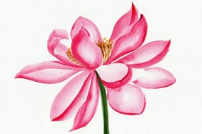 Εικόνα ακουαρέλα λουλούδι λωτού - 120x80