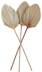 Beauty Home ΦΥΛΛΑ ΠΑΛΜΑ ΣΕΤ 3 ΤΜΧ 60 x 15 cm
