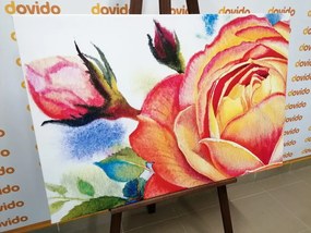 Εικόνα με τριαντάφυλλα σε αποχρώσεις του ροζ - 60x40