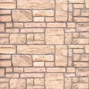 vidaXL Πάνελ τοίχου 10 pcs Μπεζ 100 x 50 cm Αφρός EPS