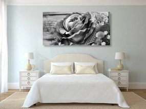 Εικόνα κομψού vintage τριαντάφυλλου σε ασπρόμαυρο σχέδιο - 100x50