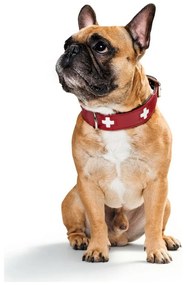 Κολλάρο Σκύλου Hunter Swiss Κόκκινο/Μαύρο 35-43 cm