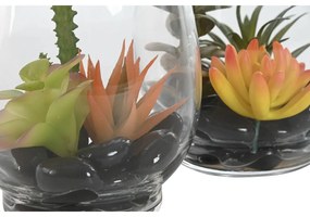 Διακοσμητικό Φυτό Home ESPRIT PVC Κρυστάλλινο 10 x 10 x 15 cm (x2)