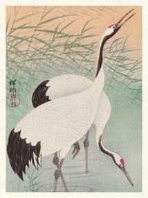 Αναπαραγωγή Two Cranes (Japandi Vintge) - Ohara Koson