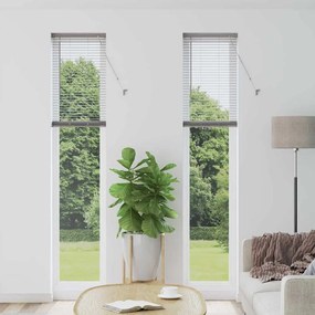 vidaXL Βενετσιάνικες Ρόδες Ασημί 220 x 45 εκ Αλουμίνιο