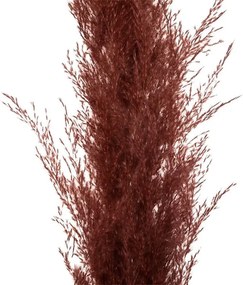 ΤΕΧΝΗΤΆ ΦΥΤΆ RED PAMPA X3 H110 189145