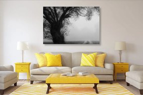 Εικόνα ενός τεράστιου ασπρόμαυρου δέντρου - 120x80
