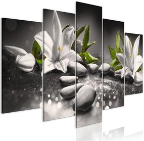 Πίνακας - Lilies and Stones (5 Parts) Wide Grey 100x50