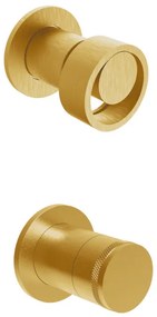 Armando Vicario Halo Gold Brushed Μίκτης εντοιχισμού+εκτροπέας περιστροφικός 2 εξόδων