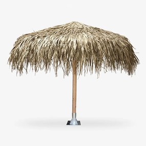 Ομπρελά Fan Palm Φ200