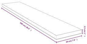 ΡΑΦΙ ΤΟΙΧΟΥ 100X20X2,5 ΕΚ. ΑΠΟ ΜΠΑΜΠΟΥ 352731