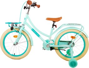 Excellent 18 Inch 26 cm Girls Coaster Brake Mint Green