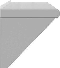 vidaXL Ράφι Τοίχου Ασημί 100x30x31 εκ. Ανοξείδωτο Ατσάλι