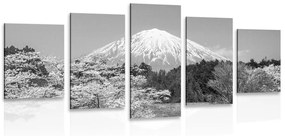 Εικόνα 5 τμημάτων hora Fuji σε ασπρόμαυρο - 100x50