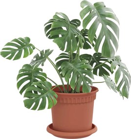 vidaXL Γλάστρες φυτών 24 pcs Κεραμιδί Ø 15 x 12 cm Πλαστικό