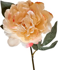 Τεχνητό Λουλούδι Εκρού 62εκ 4129ya/cr602