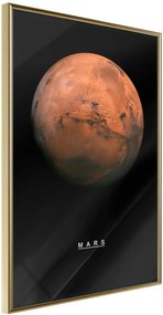 Αφίσα - The Solar System: Mars - 20x30 - Χρυσό - Χωρίς πασπαρτού